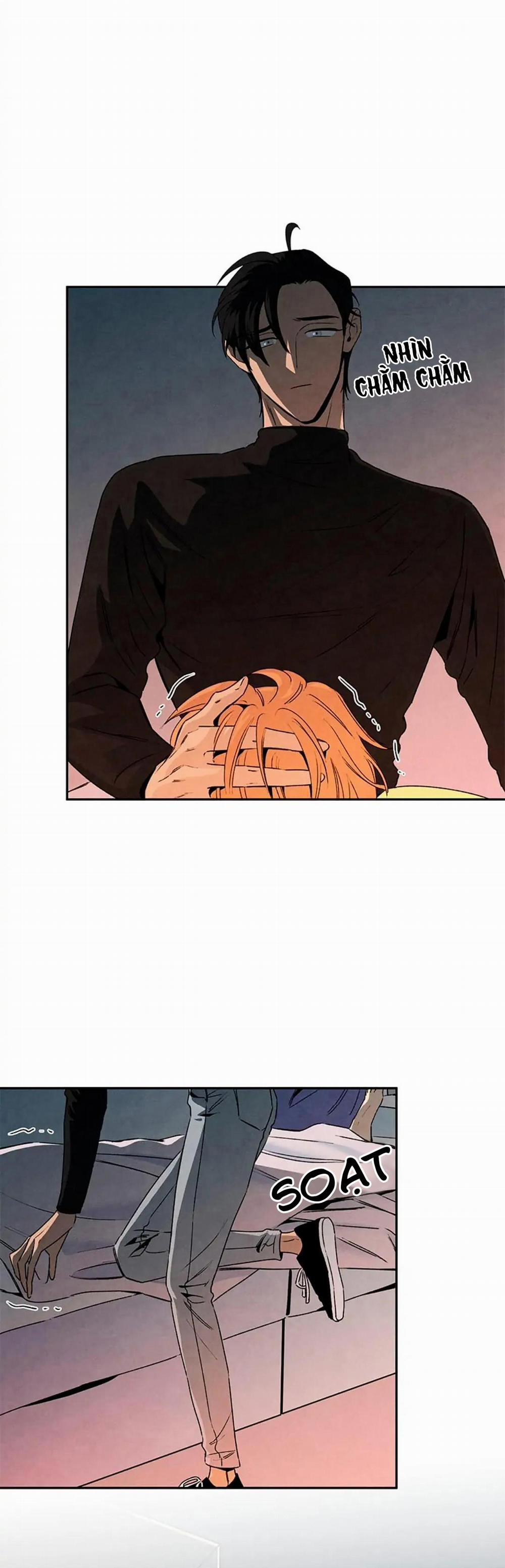 Bona Sort 33 trang 8