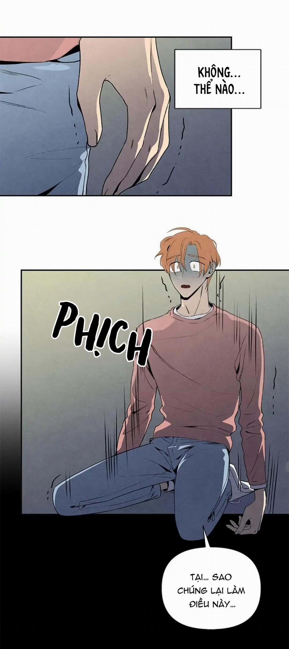 Bona Sort 34 trang 26