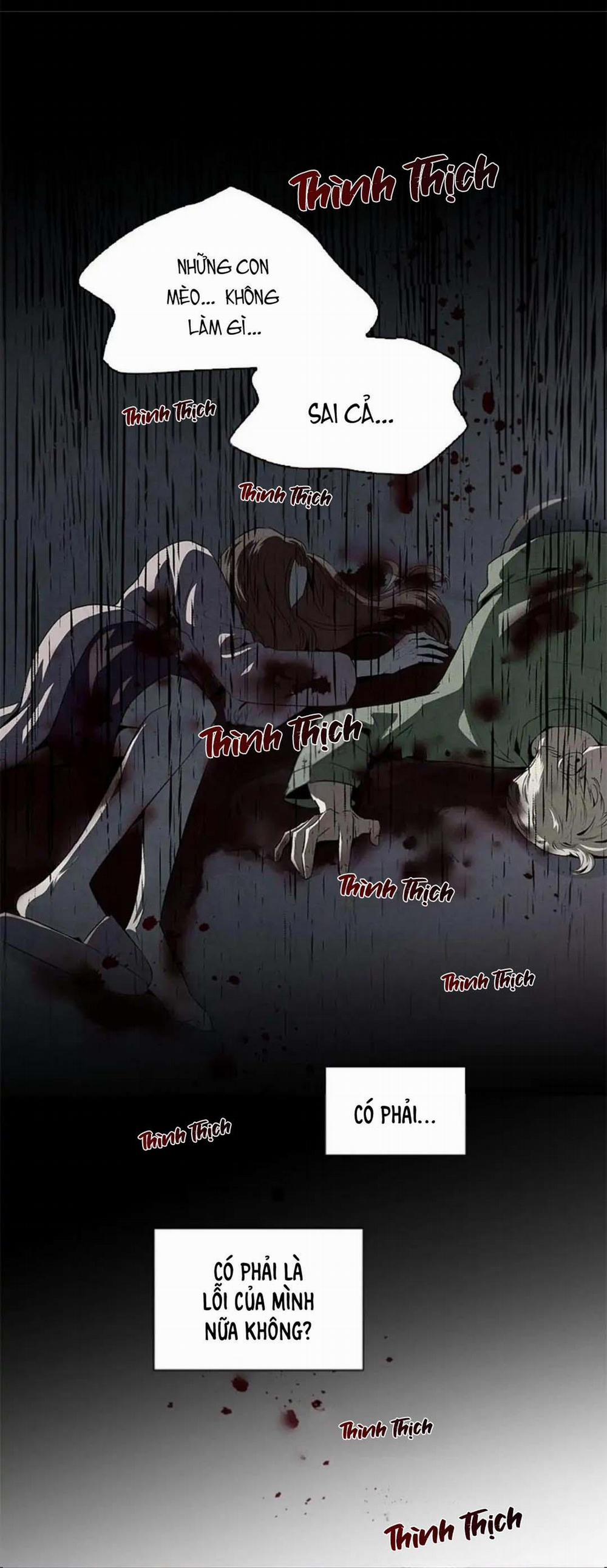 Bona Sort 34 trang 27