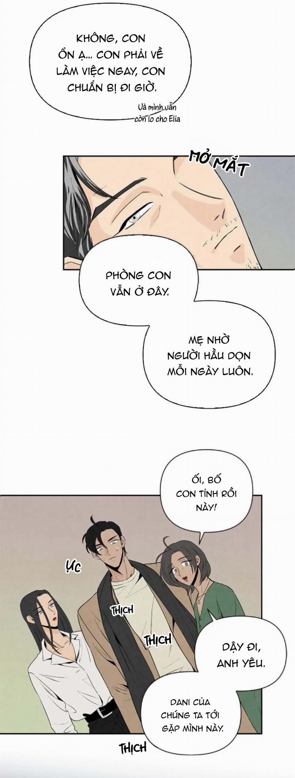 Bona Sort 34 trang 5