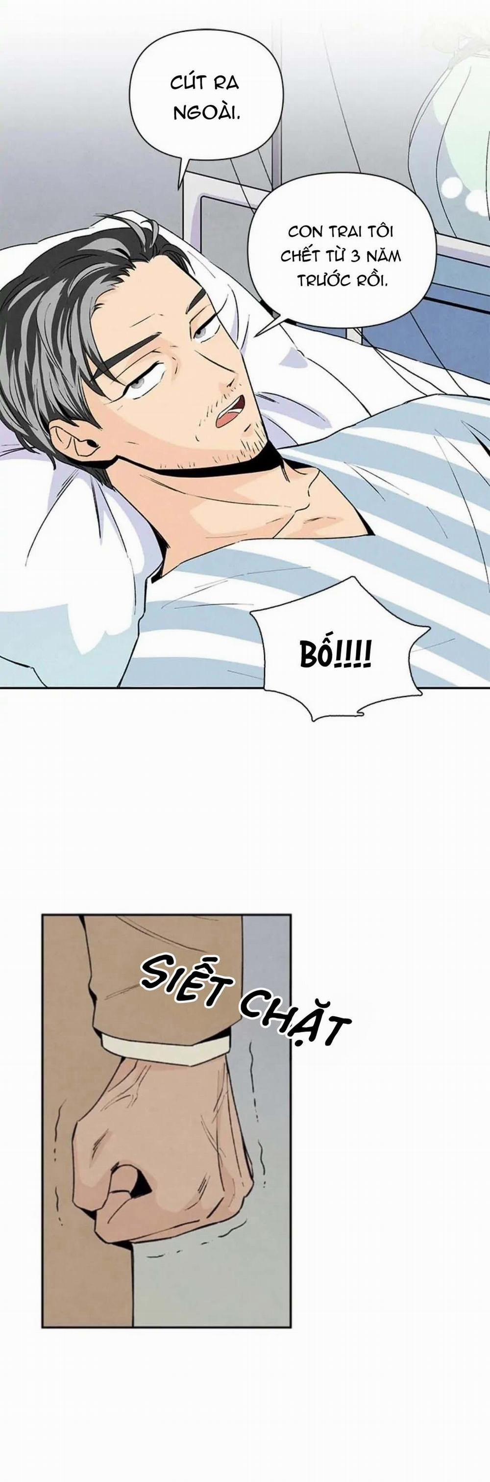 Bona Sort 34 trang 7