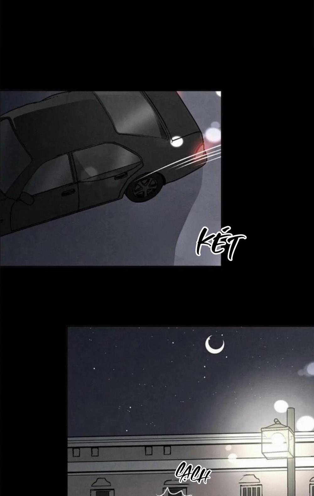 Bona Sort 36 trang 4