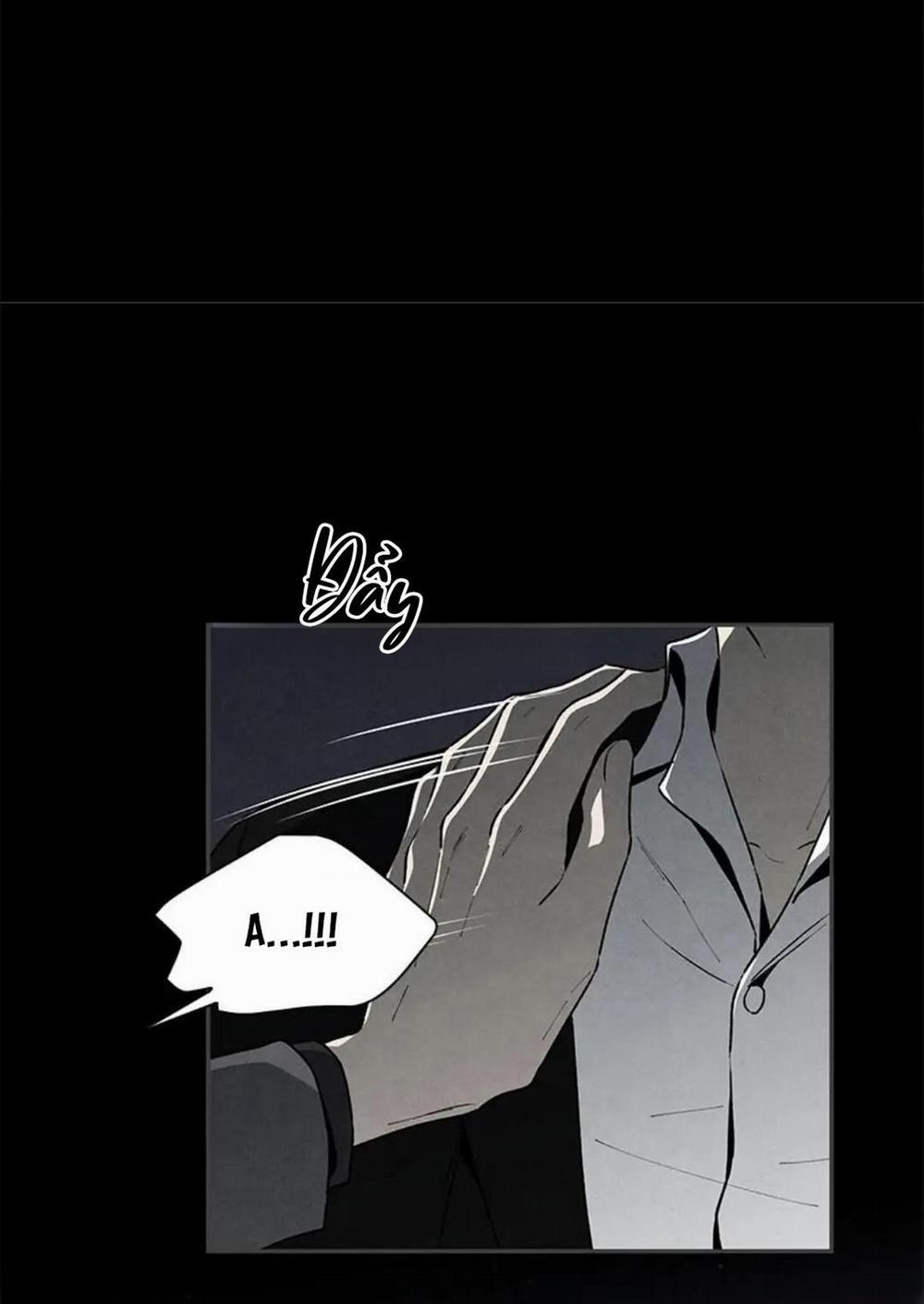 Bona Sort 36 trang 46