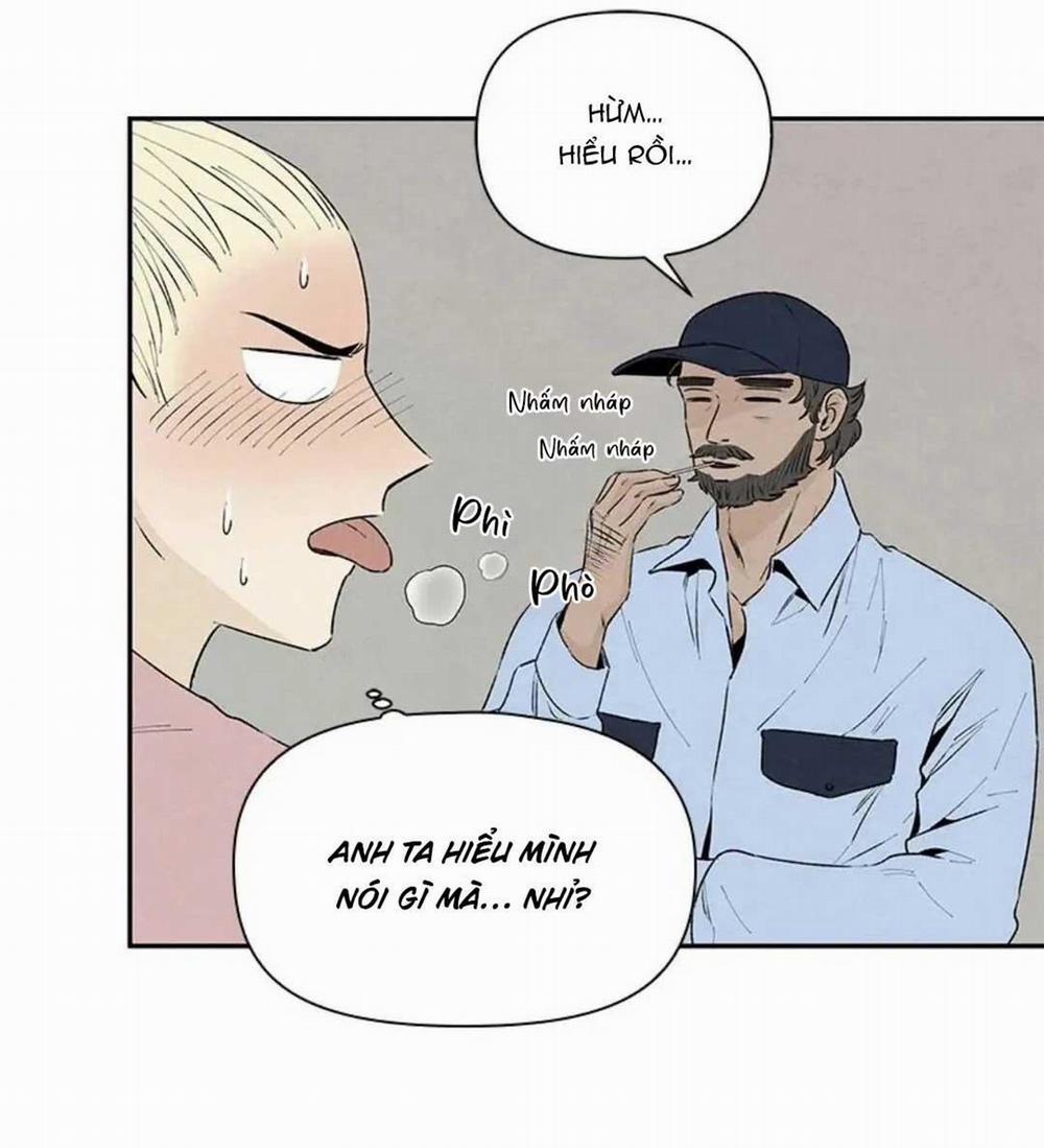 Bona Sort 36 trang 61