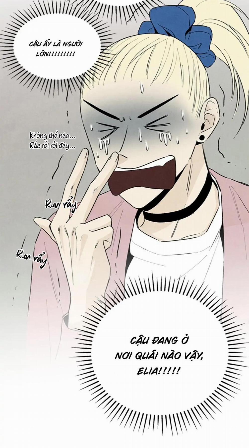 Bona Sort 36 trang 65