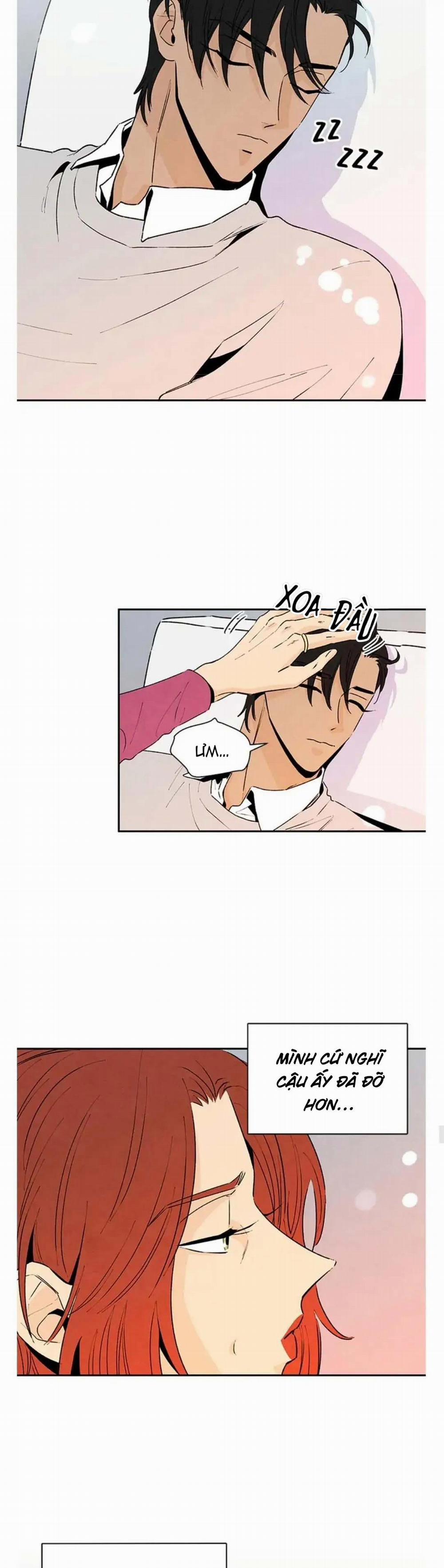 Bona Sort 38 trang 15