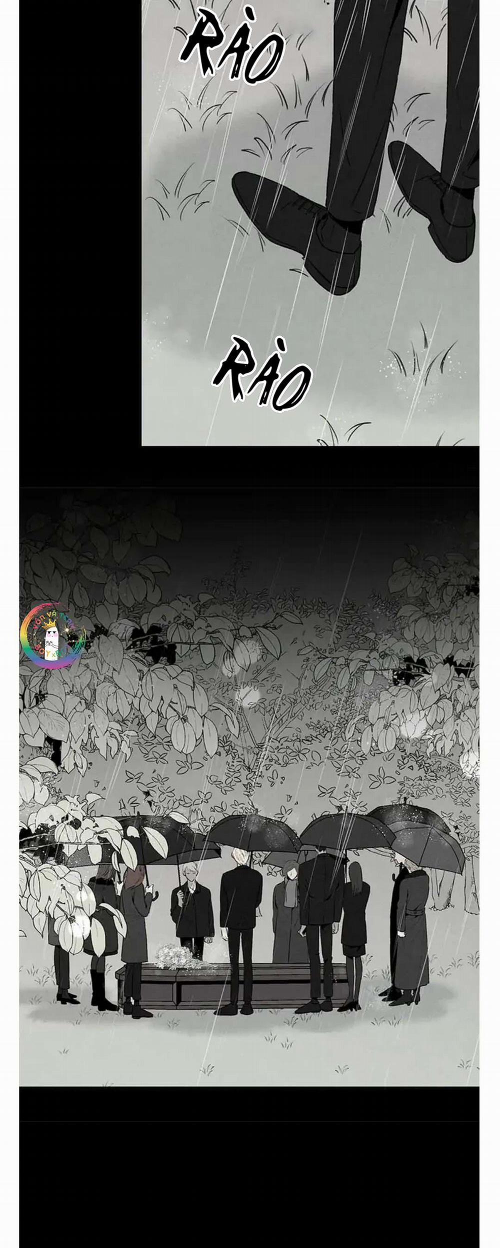 Bona Sort 38 trang 6