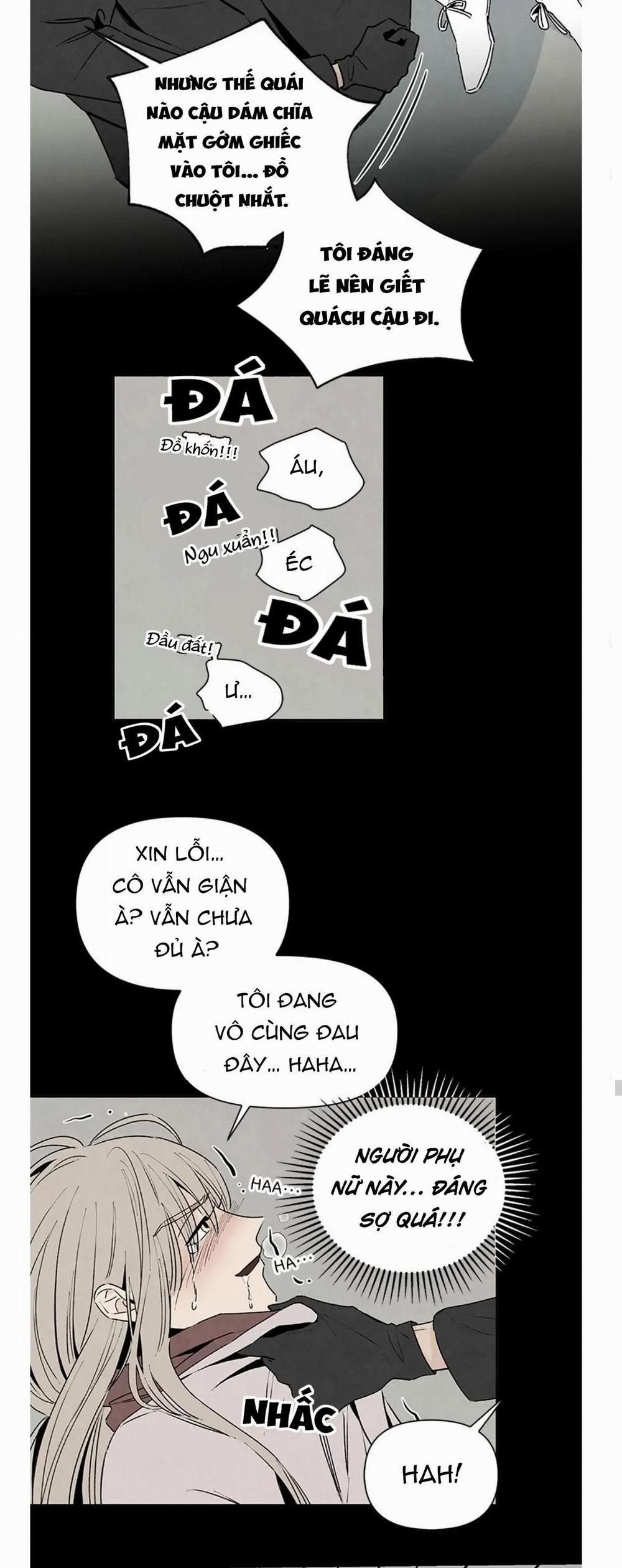 Bona Sort 40 trang 19