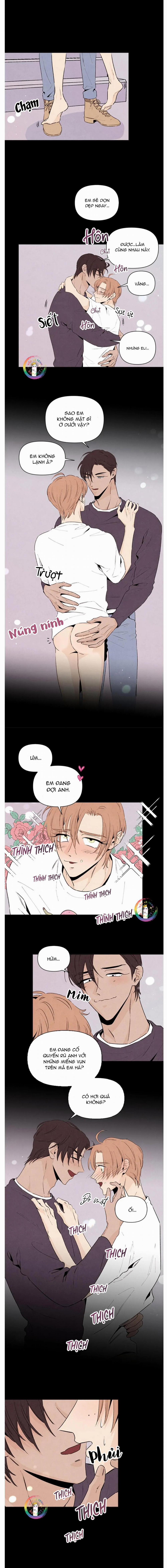 Bona Sort 42 trang 13