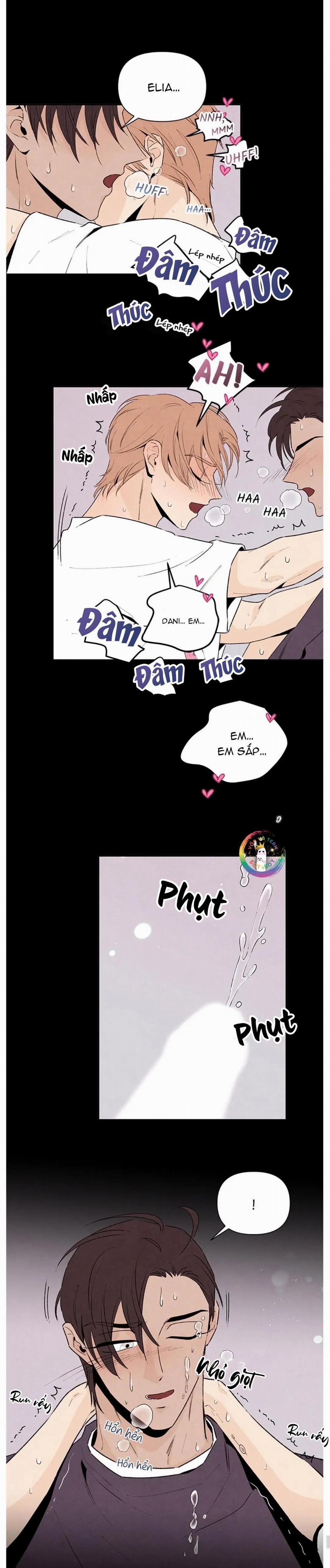 Bona Sort 42 trang 17