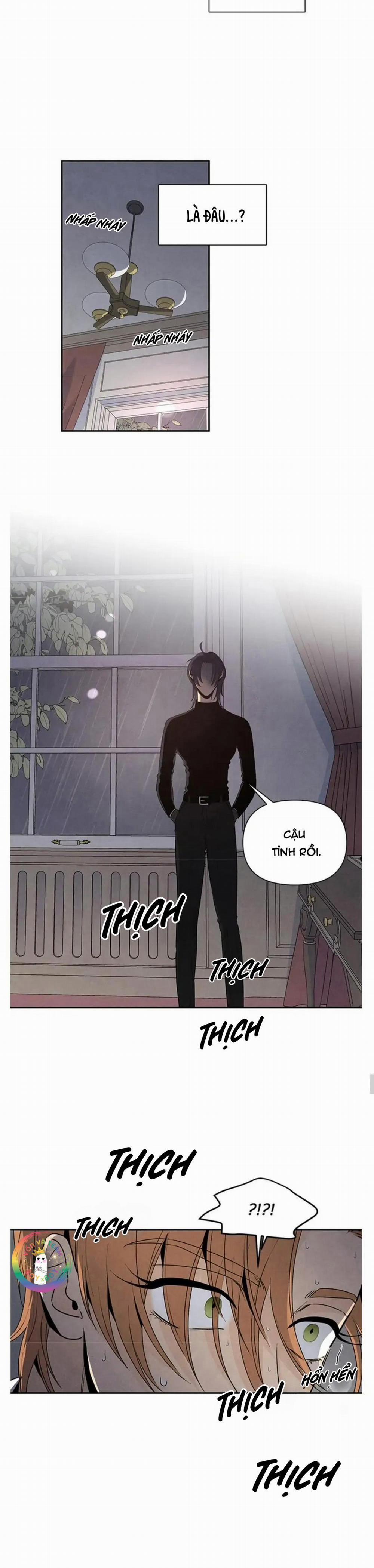 Bona Sort 43 trang 4