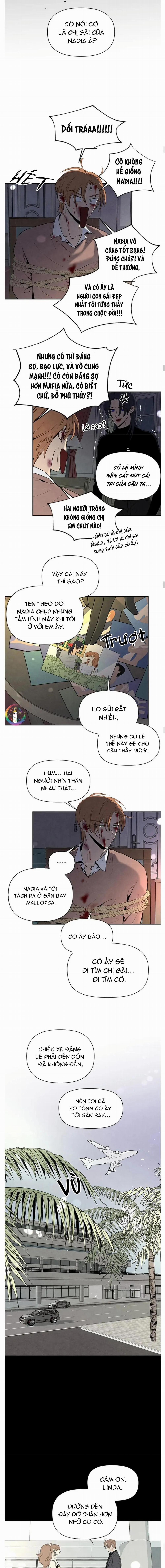 Bona Sort 44 trang 13