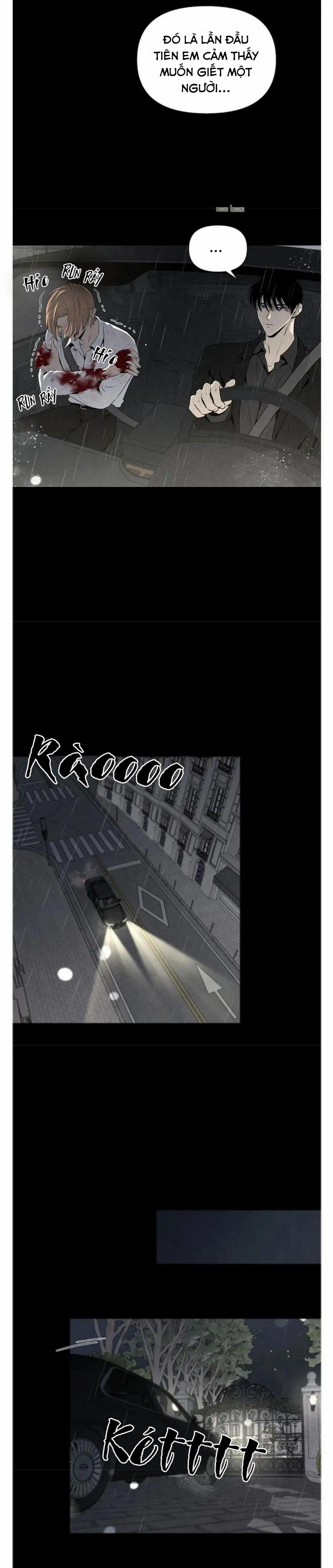 Bona Sort 47 trang 5