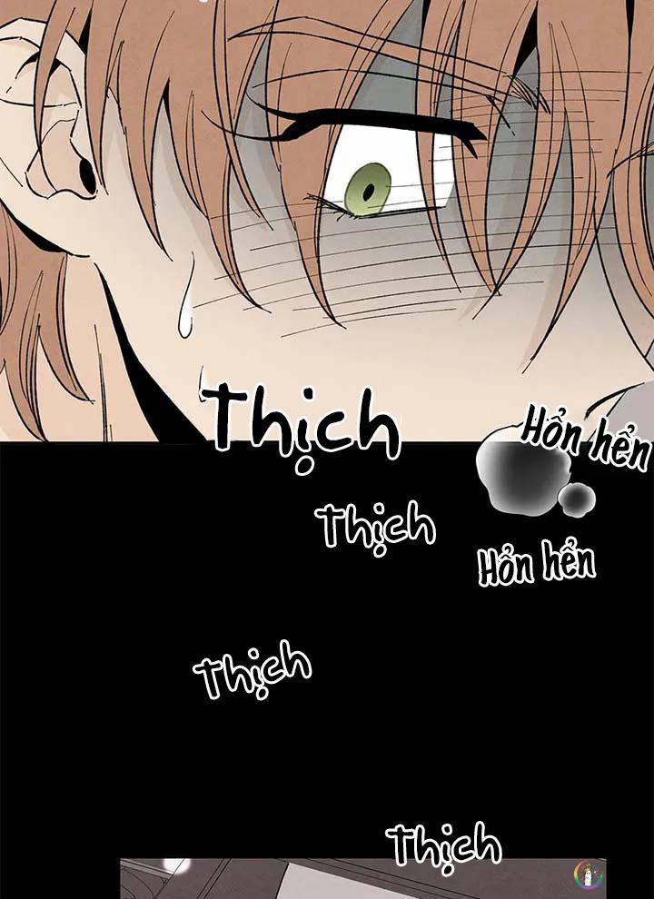 Bona Sort 48 trang 11