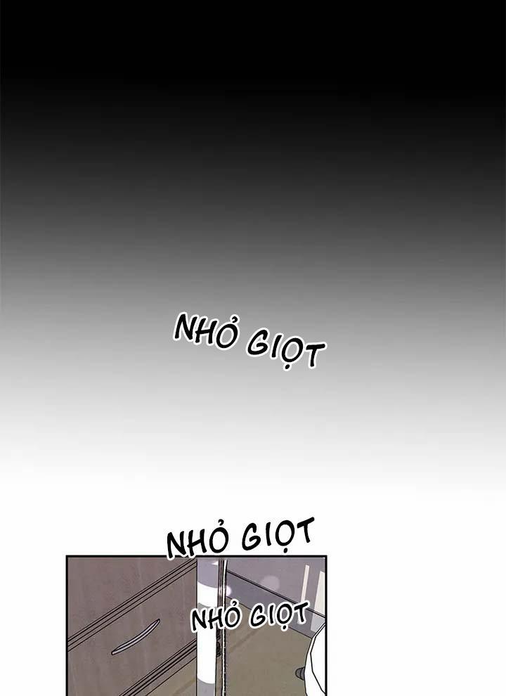 Bona Sort 48 trang 37