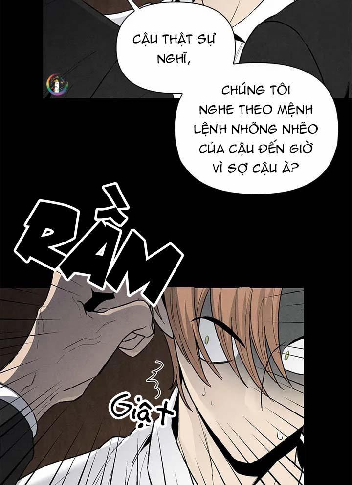 Bona Sort 48 trang 5