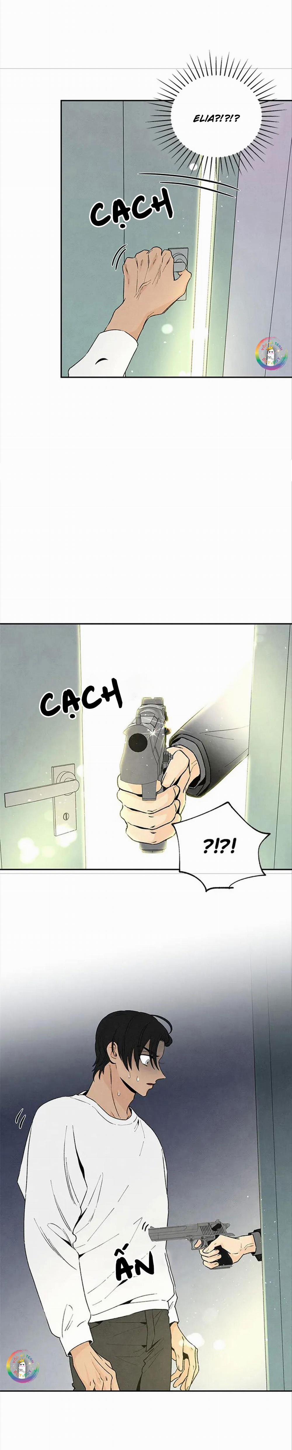 Bona Sort 50 trang 17