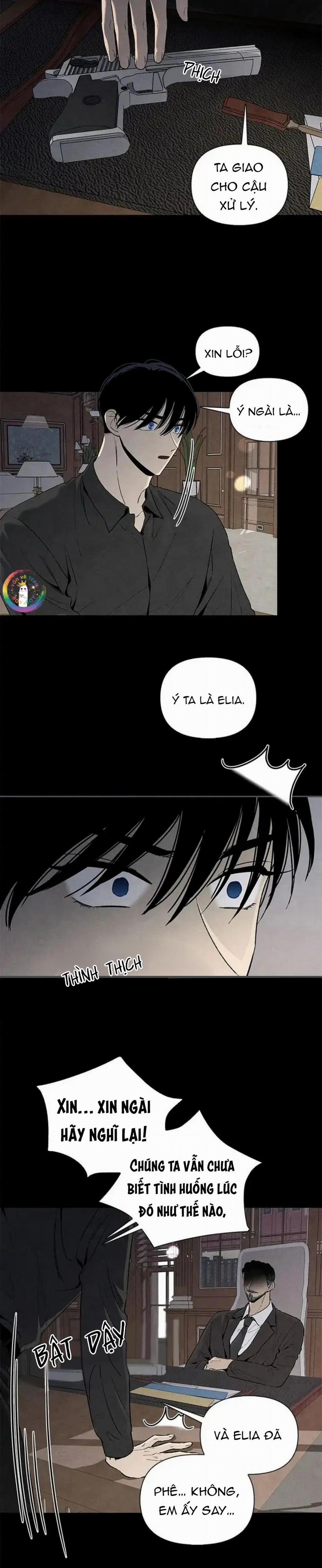 Bona Sort 51 trang 5