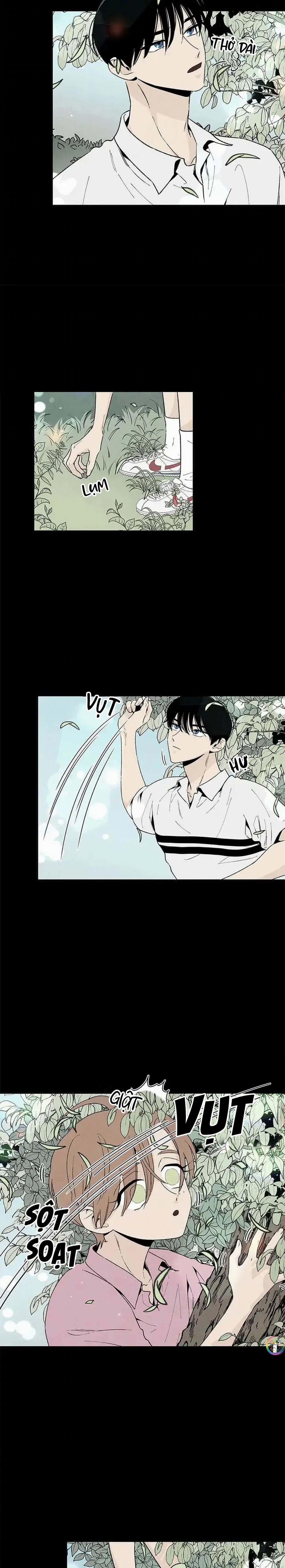 Bona Sort 52 trang 2