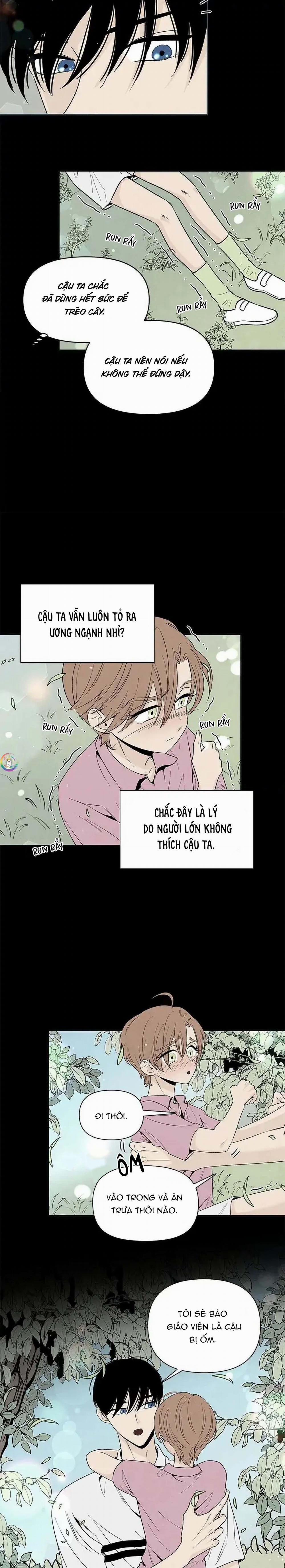 Bona Sort 52 trang 5