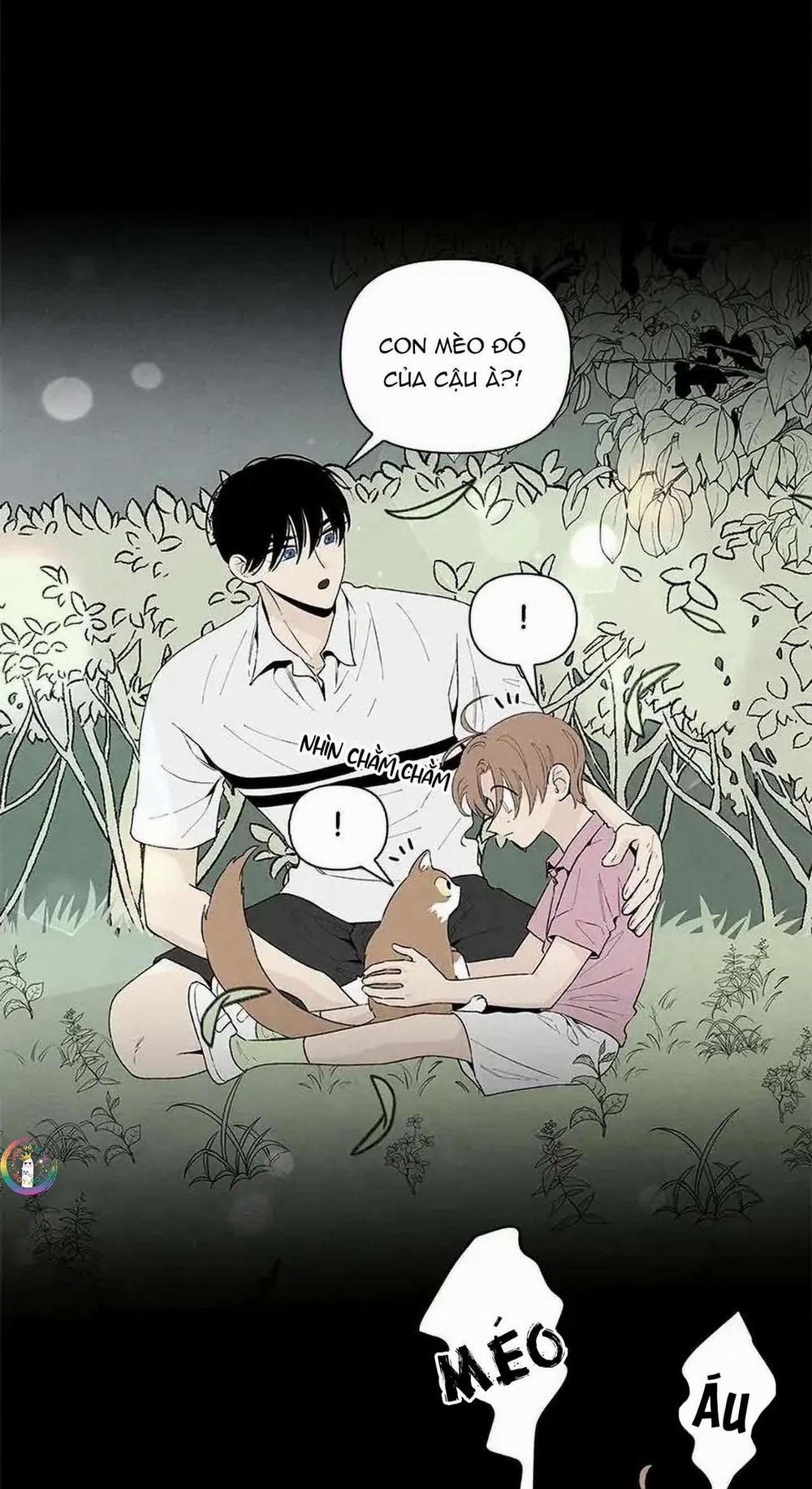 Bona Sort 53 trang 12