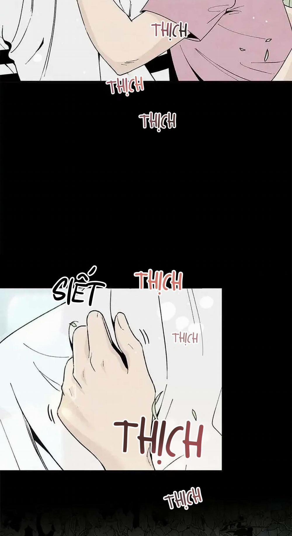 Bona Sort 53 trang 19