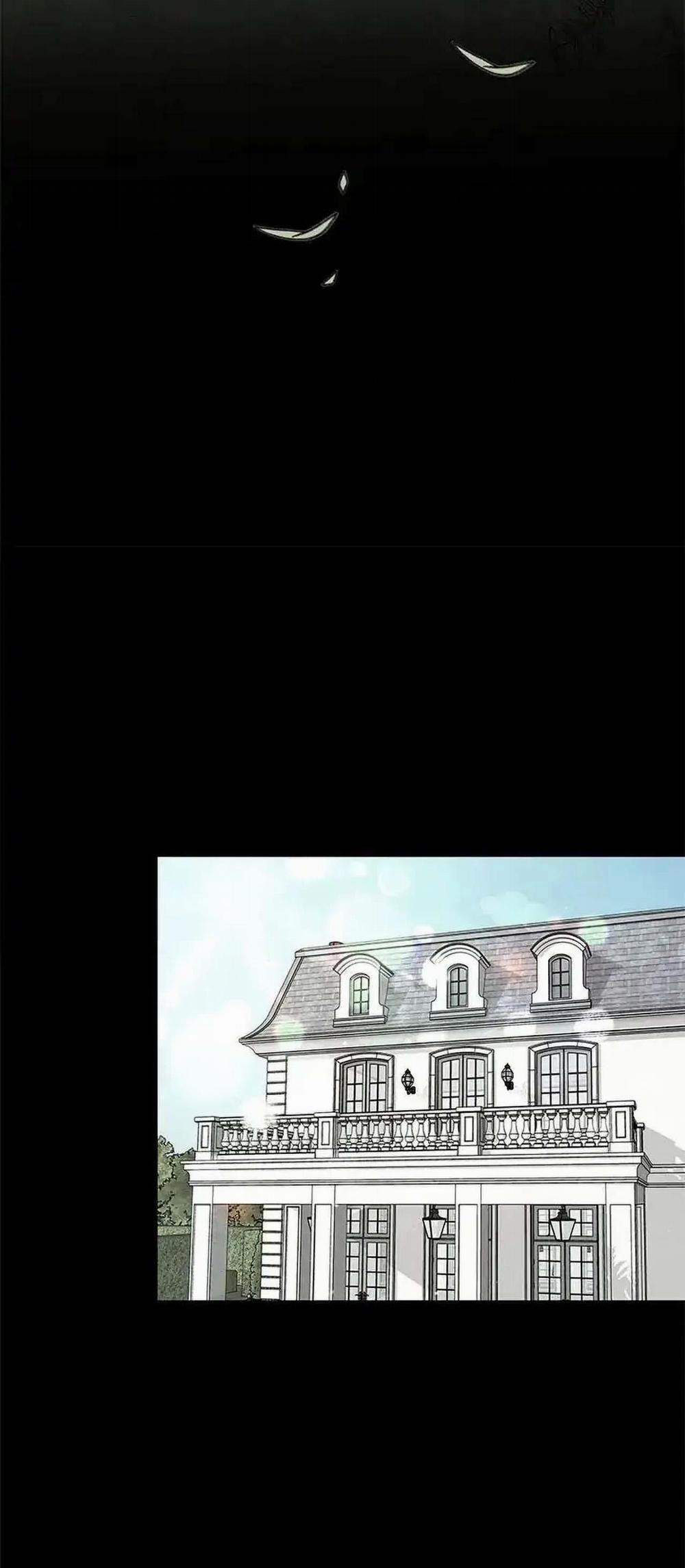 Bona Sort 53 trang 21