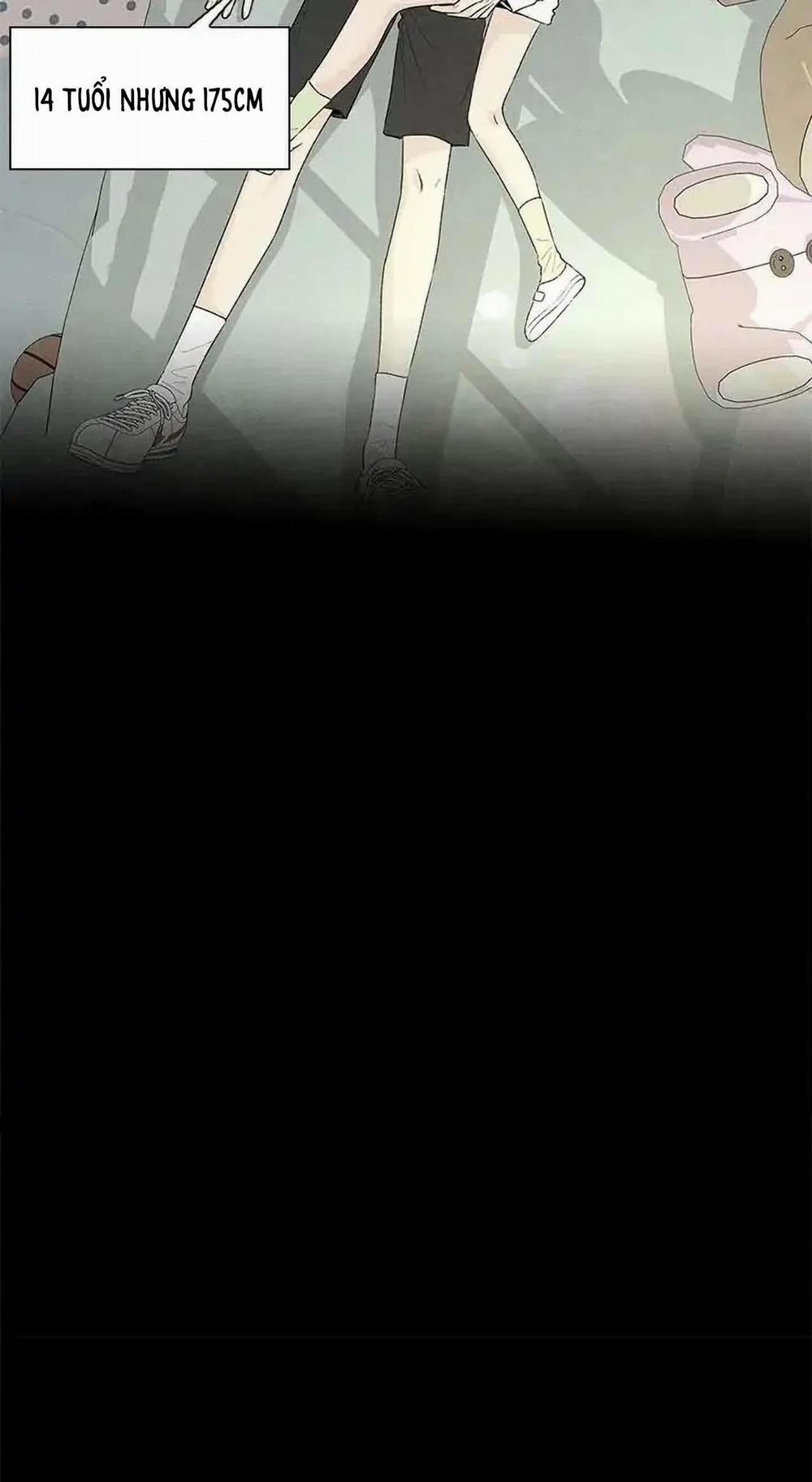 Bona Sort 53 trang 30