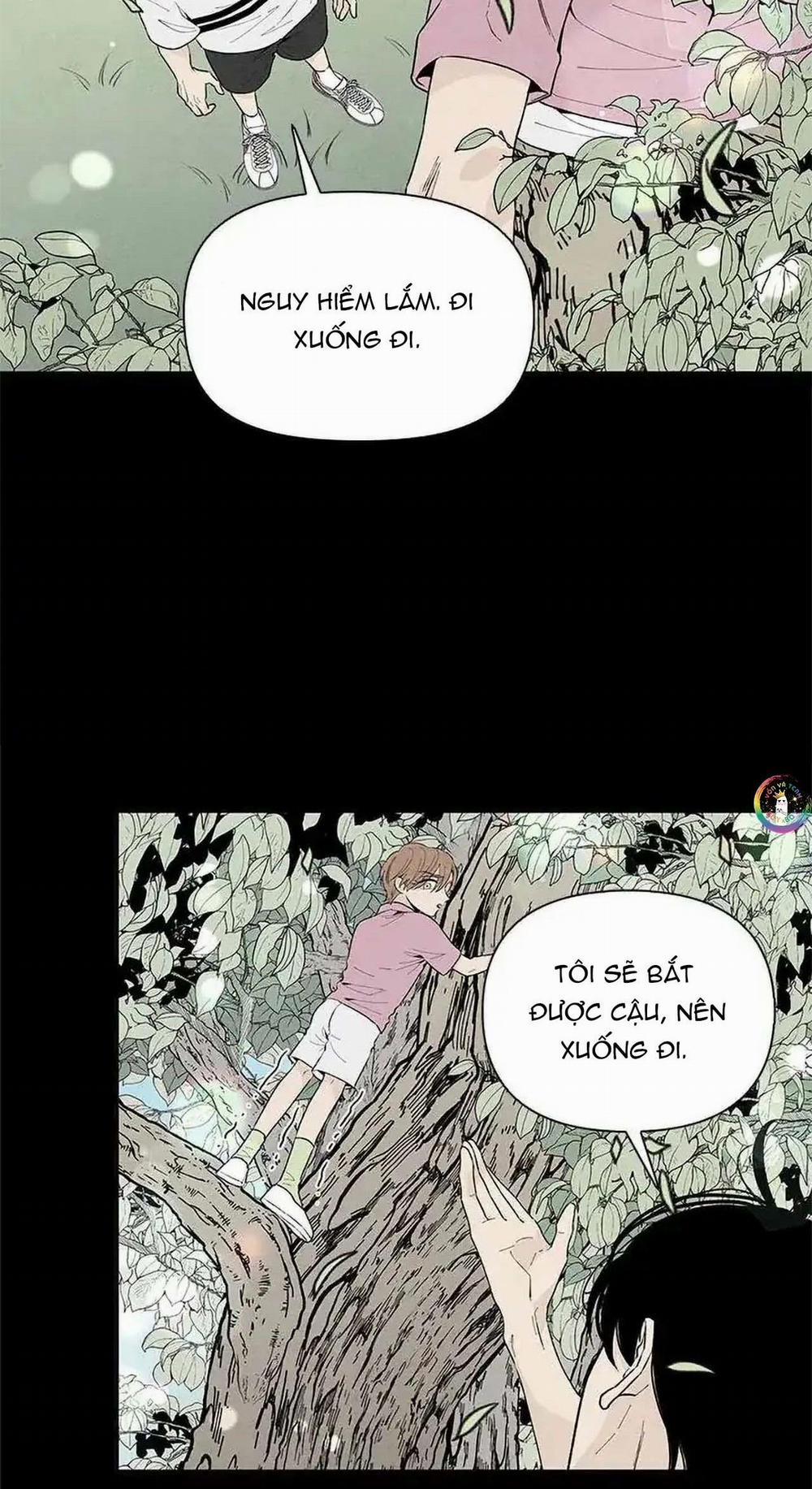 Bona Sort 53 trang 4