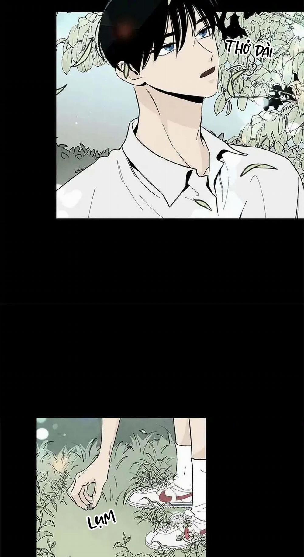 Bona Sort 53 trang 6