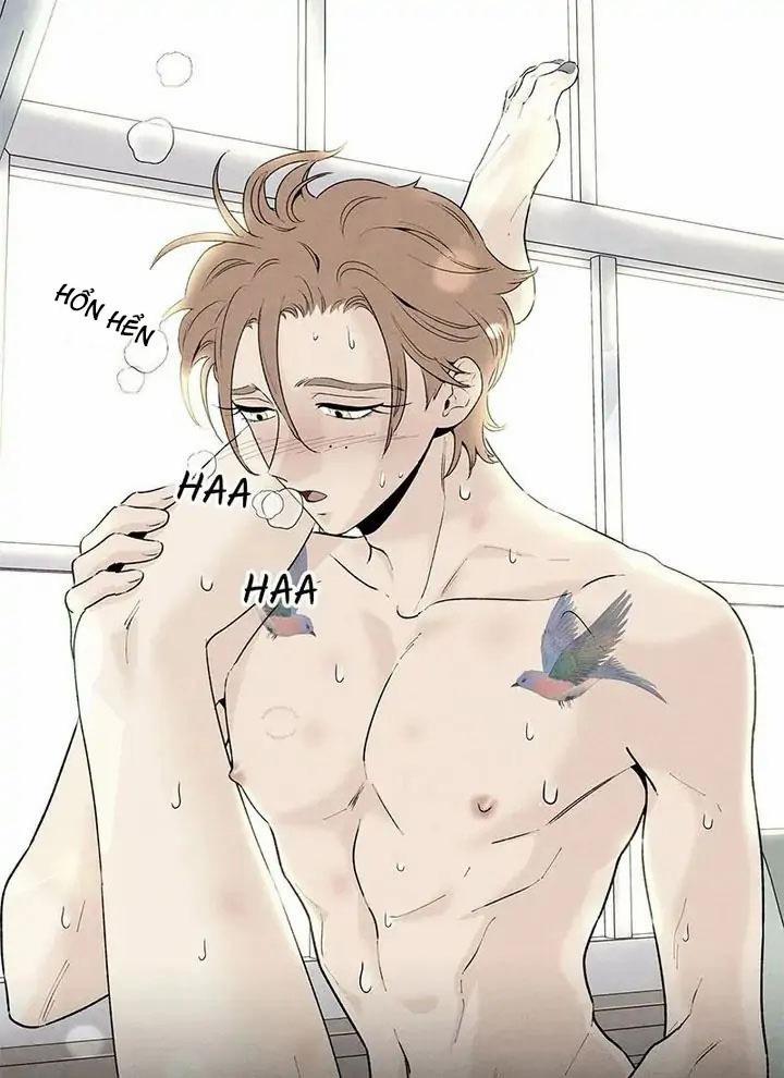 Bona Sort 54 trang 18