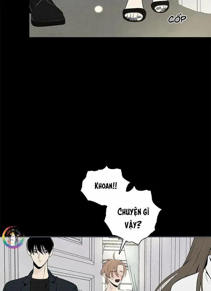 Bona Sort 54 trang 27