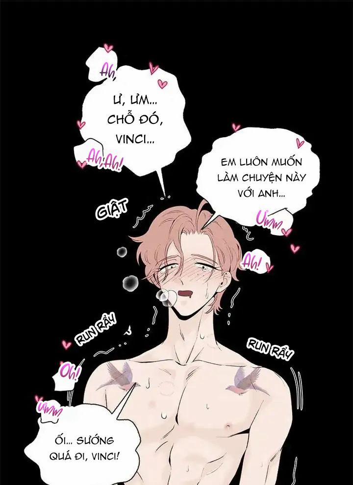 Bona Sort 54 trang 47