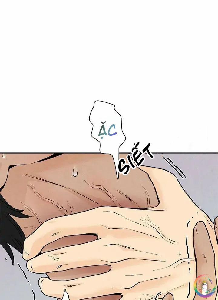 Bona Sort 54 trang 59