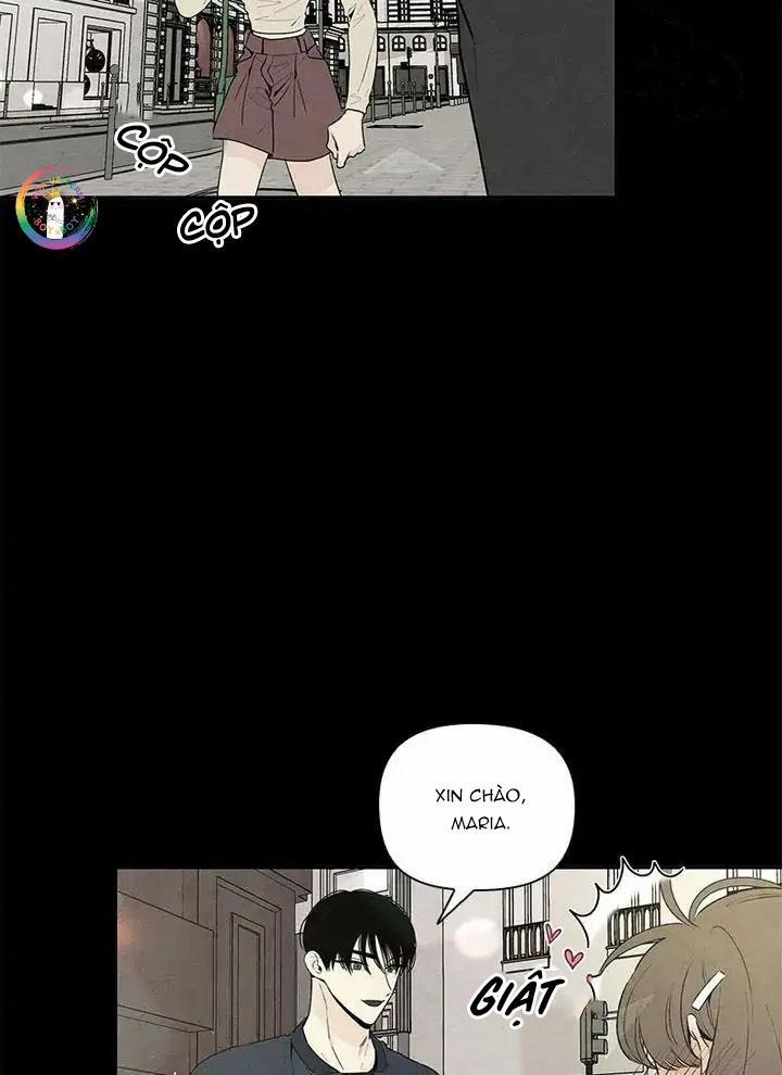 Bona Sort 54 trang 8