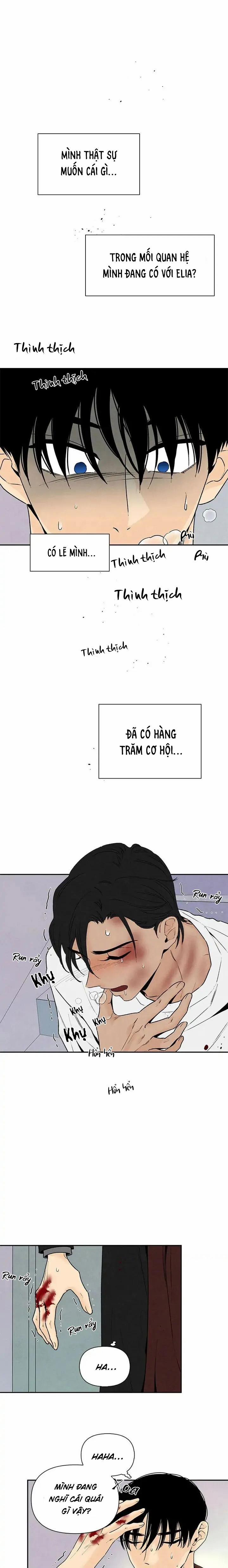 Bona Sort 55 trang 1