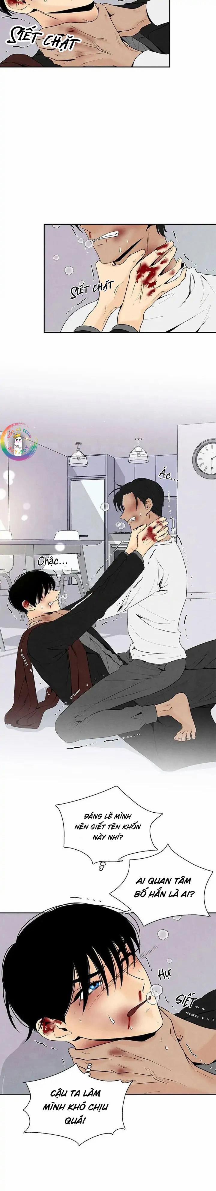 Bona Sort 55 trang 14