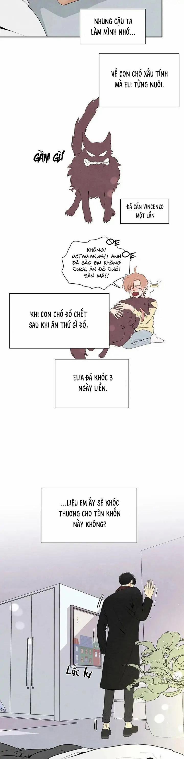 Bona Sort 55 trang 19