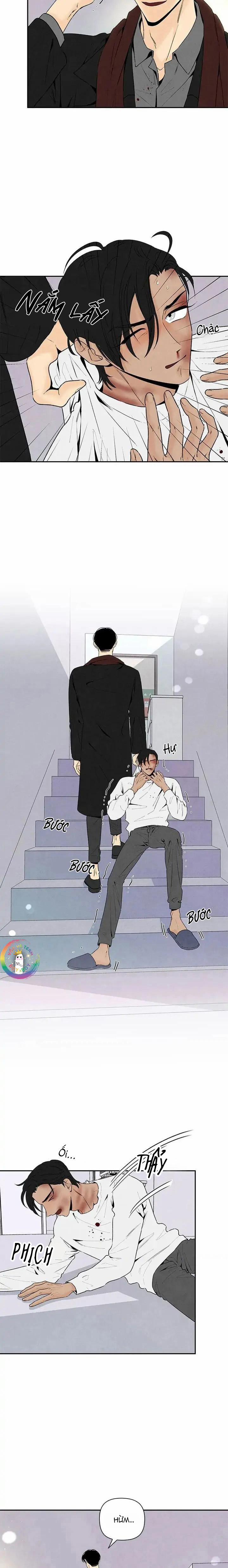 Bona Sort 55 trang 2