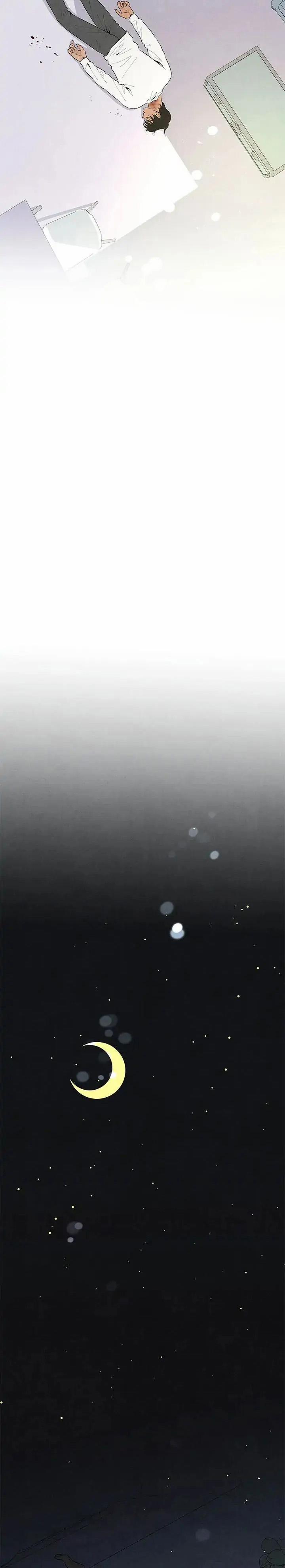 Bona Sort 55 trang 21