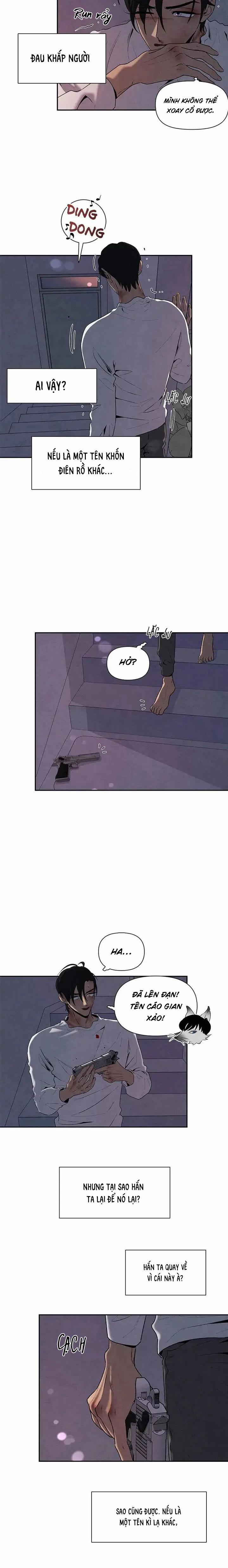 Bona Sort 55 trang 23