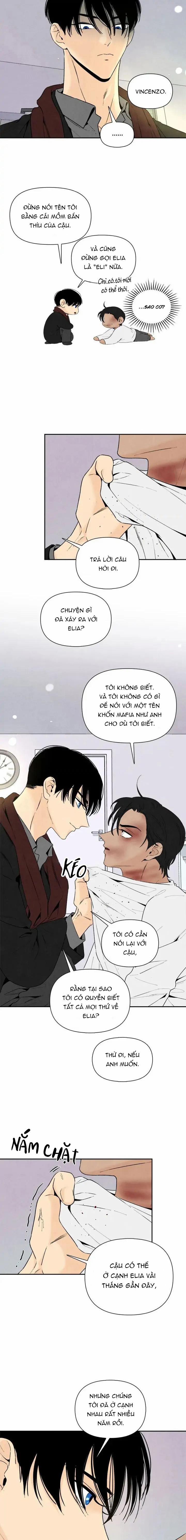 Bona Sort 55 trang 5