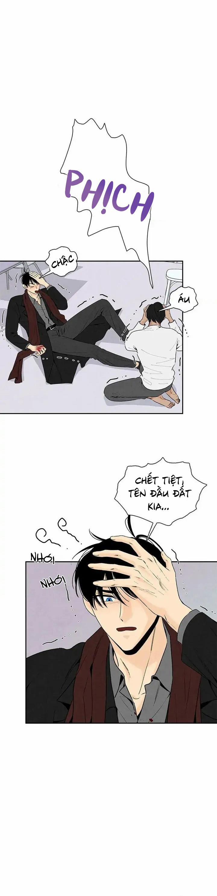 Bona Sort 55 trang 9