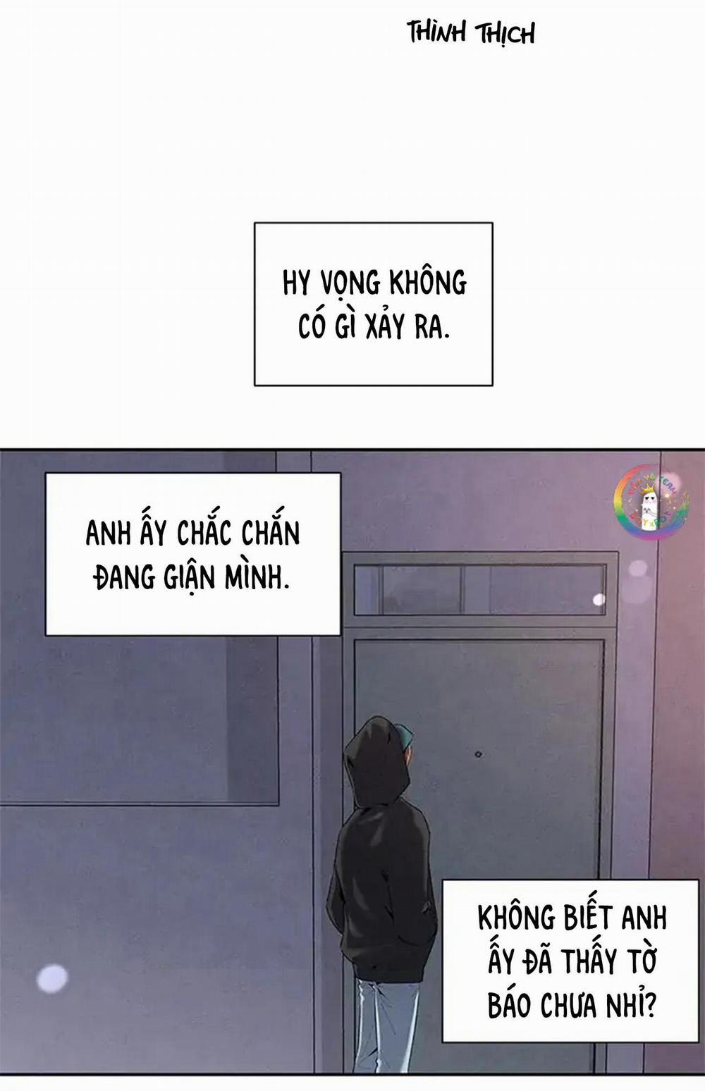 Bona Sort 56 trang 17