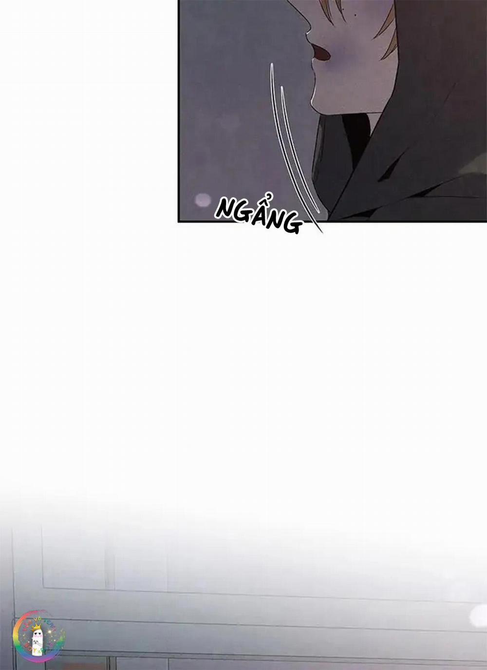 Bona Sort 56 trang 24