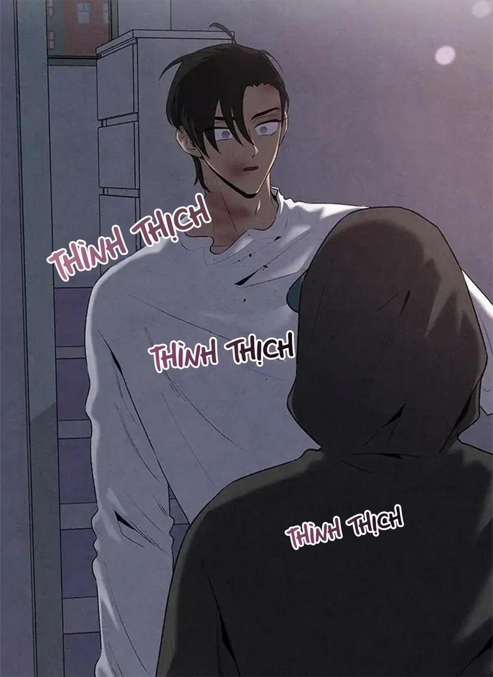 Bona Sort 56 trang 25