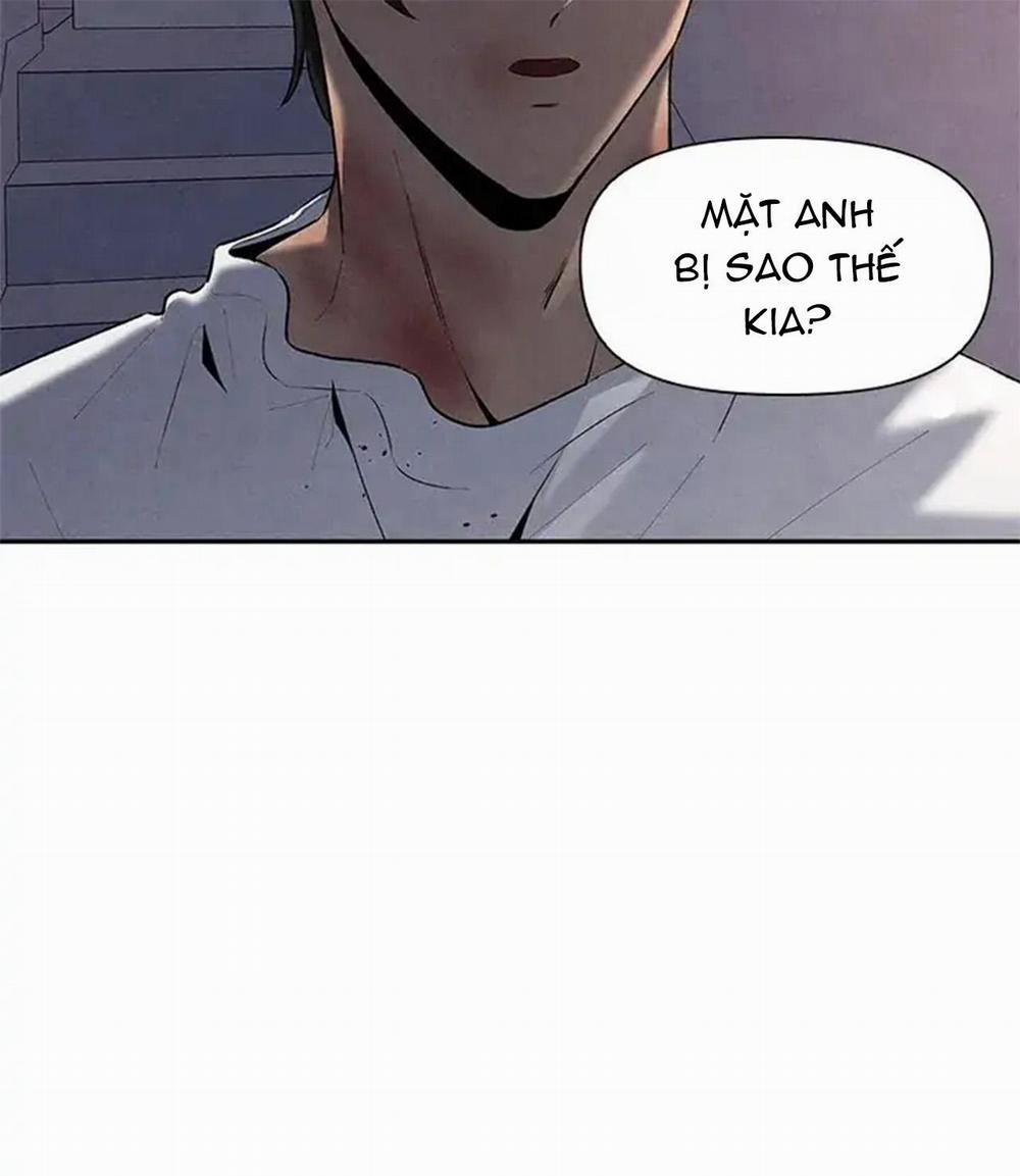 Bona Sort 56 trang 29