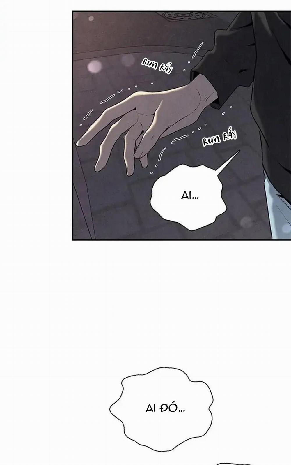 Bona Sort 56 trang 30