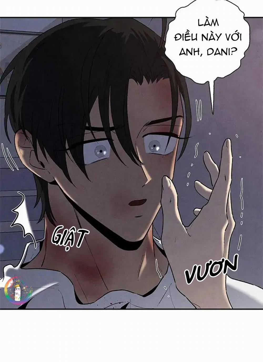 Bona Sort 56 trang 31