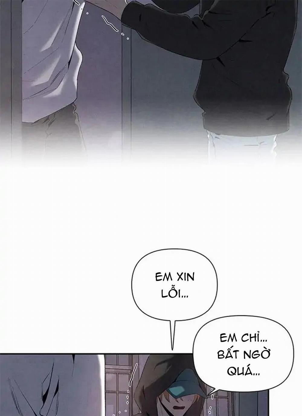 Bona Sort 56 trang 33